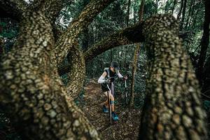 BIB: 
                            <button type="button" onclick="openModal(25392786)" class="btn btn-primary btn-sm float-right btn-popup" data-toggle="modal" data-target=".modal-high-quality">
                        <i class="fas fa-shopping-cart"></i> Add to Cart
                    </button>
                                            <button type="button" onclick="isThisMe(25392786, true)" class="btn btn-success btn-sm float-right btn-popup btn-isme hidden" data-toggle="tooltip" data-placement="bottom" title="นี่คือรูปของคุณใช่ไหม คลิกที่นี่เพื่อเอาเข้าอัลบั้ม">
                        <i class="fas fa-plus"></i> Add to album
                    </button>
                    <button type="button" onclick="isThisMe(25392786, false)" class="btn btn-warning btn-sm float-right btn-popup btn-isnotme hidden">
                        <i class="fas fa-ban"></i> Remove from album
                    </button>